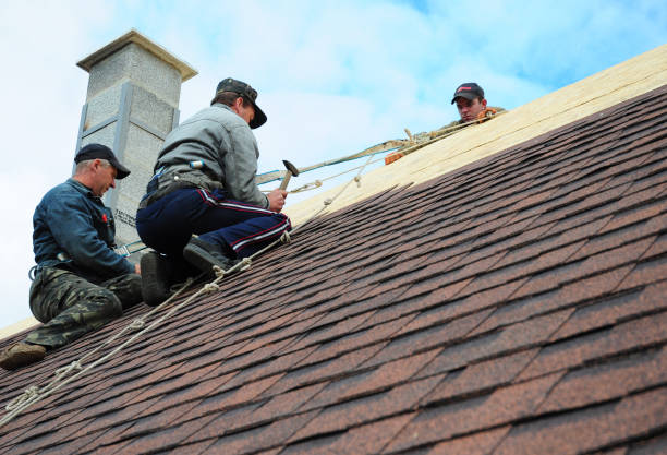 Best Storm Damage Roof Repair  in Presque Isle, ME